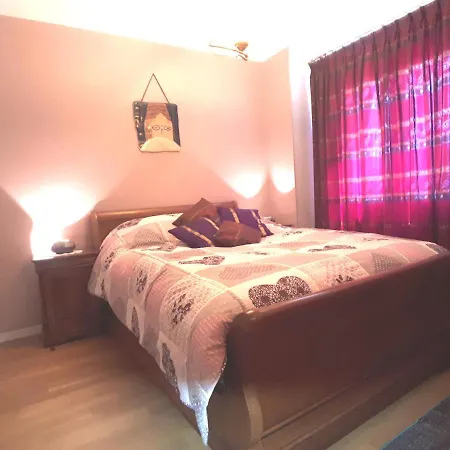 Gite Terre D'Helene Pres De Strasbourg 42 M2, 3 Etoiles, Wifi, Paisible, Jardin Proche Commerces,16 Atouts, Animaux Acceptes Berstett Exterior foto