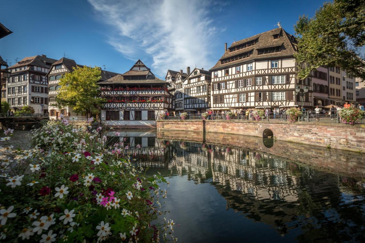 Terredhelene Calme Proche Strasbourg Et Tous Commerces Profitez En Appartement *