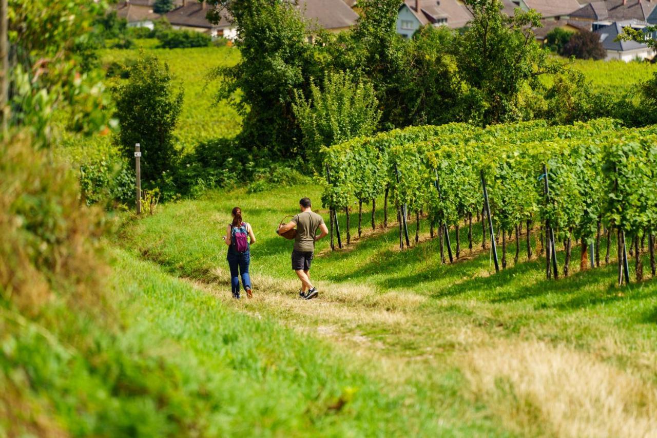 Appartement Terredhelene Calme Proche Strasbourg Et Tous Commerces Profitez En Berstett